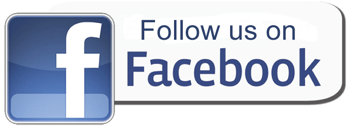 facebook follow button