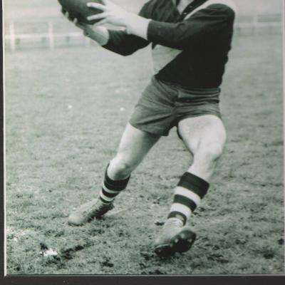 Hafey Tom